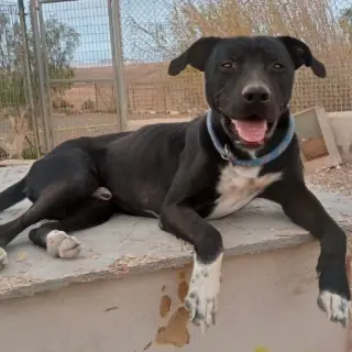 Coco
