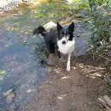 Adopta a Bilbo