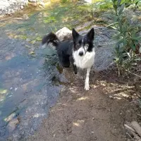 Adopta a Bilbo