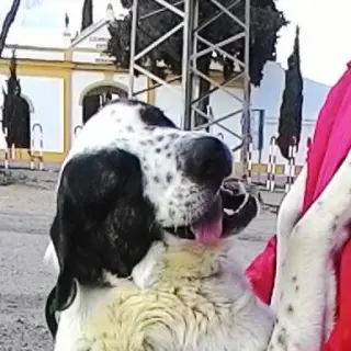 Athos