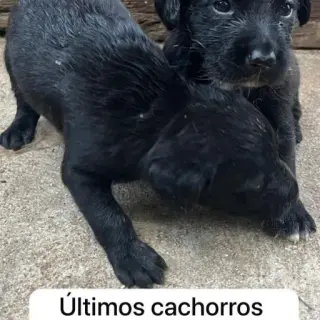 Sin Nombre Aún