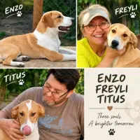 Adopta a Titus, Enzo, Freyli