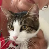 Adopta a Jaén Mat