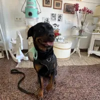 Adopta a Duna