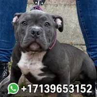 Adopta a Mia