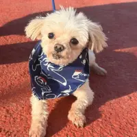 Adopta a Cam