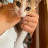 Adopta a Chia