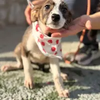 Adopta a Etiopía