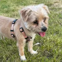Adopta a Marian