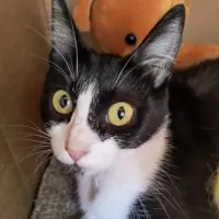 Adopta a Aqua