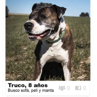 Adopta a Truco