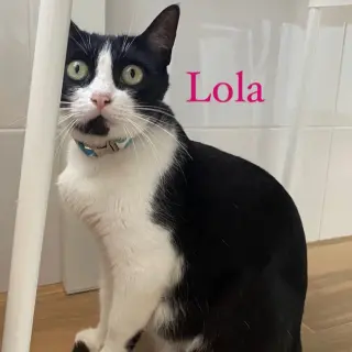 Lola