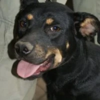 Adopta a Kally