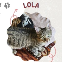 Adopta a Lola