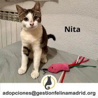 Adopta a Nita