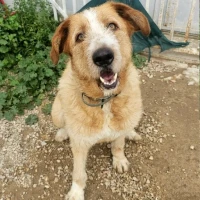 Adopta a Abril