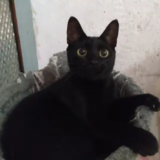 Lucía