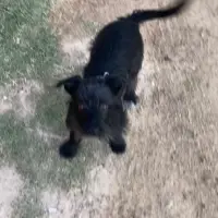 Adopta a Petra