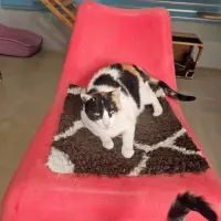 Adopta a Nerea