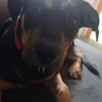 Adopta a Susana