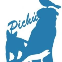 Pichú Animales