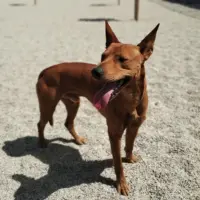 Adopta a Kayak