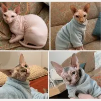 Adopta a Nioki