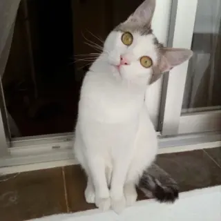 Eliot