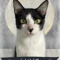 Adopta a Luna