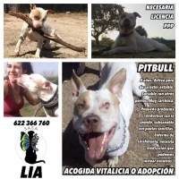 Adopta a Lía