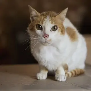 Rita