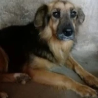 Adopta a Mariela