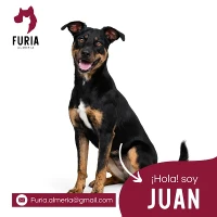 Adopta a Juan