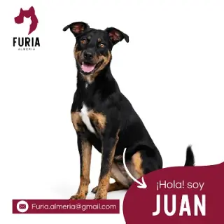 Juan