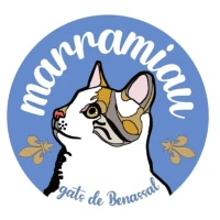 Marramiau Gats De Benassal