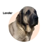 Adopta a Lander