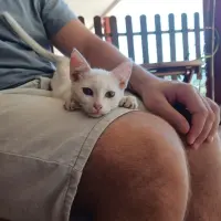 Adopta a Leo