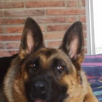 Adopta a Nina