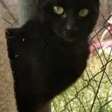 Adopta a Miga