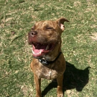 Adopta a Marco