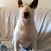 Adopta a Lorena