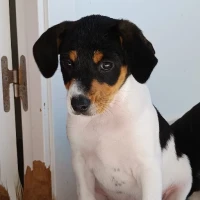 Adopta a Tati