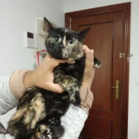 Adopta a Kira Y Canela