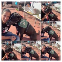 Adopta a Duke