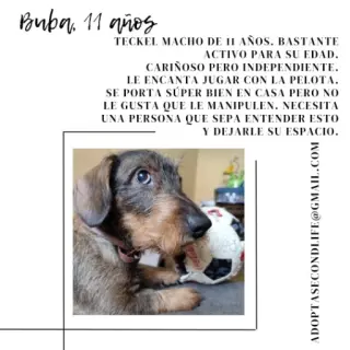 Buba