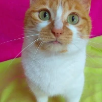 Adopta a Lucía (Buscamos Madrina/padrino)