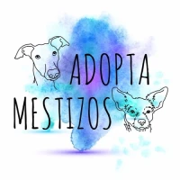 Adopta Mestizos
