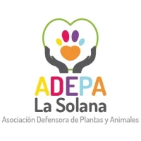 Protectora De Animales Adepa