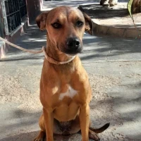 Adopta a Yuli