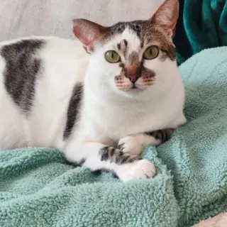 Xena
